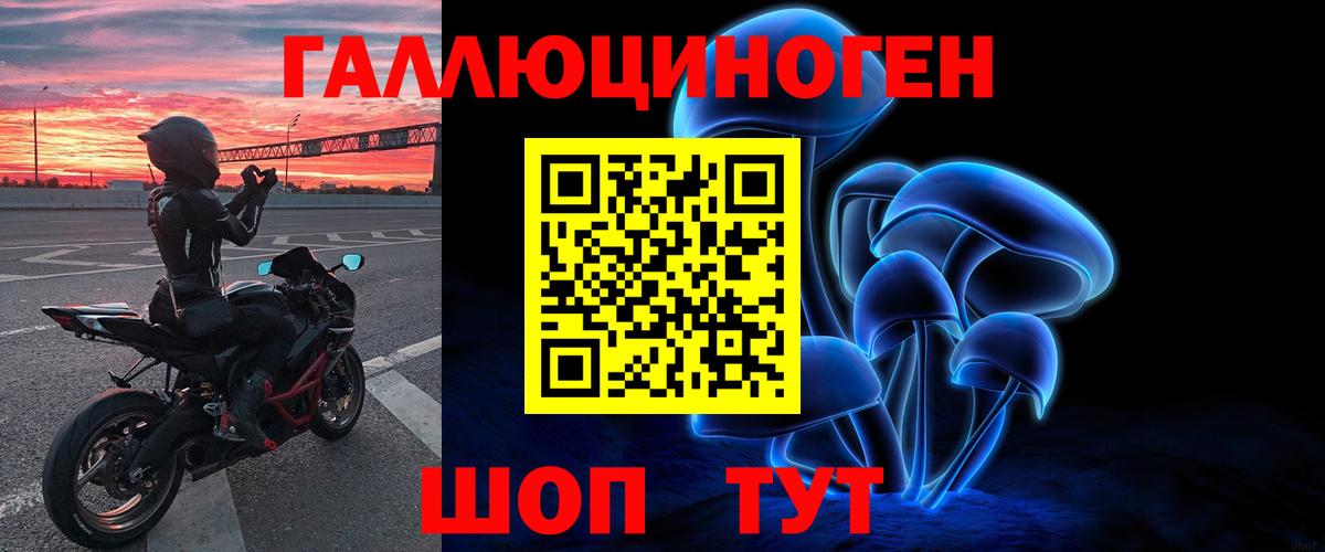 Сердобск  Галлюциногенные грибы прущие грибы  Вход с VPN 